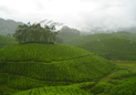  Kudremukh